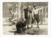 Boys Celebrating The Fourth Of July by Anonymous