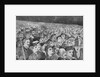Illustration of Massive Crowd During July Fourth Ceremonies by Anonymous
