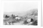 Colonel Thornton Hunting with His Dogs by Anonymous