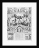 William McKinley Election Poster by Anonymous
