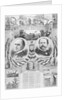 William McKinley Election Poster by Anonymous