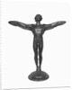 Display of the Icarus by Anonymous