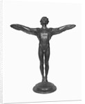 Display of the Icarus by Anonymous