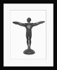 Display of the Icarus by Anonymous