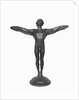 Display of the Icarus by Anonymous