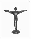 Display of the Icarus by Anonymous