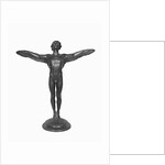 Display of the Icarus by Anonymous