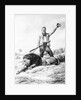 Theodore Roosevelt with His Lion by Anonymous