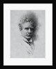 Portrait of American Writer Ambrose Bierce by Anonymous