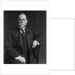Early American Public Official and Author John Milton Hay Posing by Anonymous