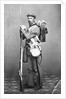 Portrait of Civil War Soldier by Anonymous