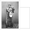 Portrait of Civil War Soldier by Anonymous