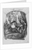 Vincent Lundari and Mrs LA Sage in a Hot Air Balloon in 1785 by Anonymous