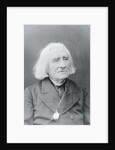 Portrait of Franz Von Liszt by Anonymous