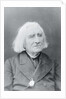 Portrait of Franz Von Liszt by Anonymous