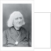 Portrait of Franz Von Liszt by Anonymous