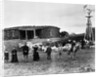 Sheep Farm in American West by Anonymous