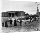 Sheep Farm in American West by Anonymous