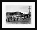 Sheep Farm in American West by Anonymous