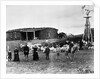 Sheep Farm in American West by Anonymous