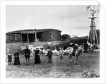 Sheep Farm in American West by Anonymous