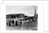 Sheep Farm in American West by Anonymous