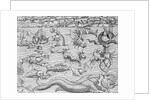 Illustration of Mythical Sea Monsters by Sebastian Munster