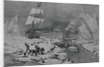 Men Slaughtering Seals by Anonymous