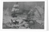 Men Slaughtering Seals by Anonymous