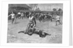 Injured Player Lying on the Field by Anonymous