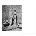Mummies at Excavation Site by Anonymous