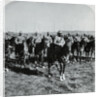 General French and His Men on Horseback During Boer War by Anonymous