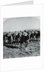 General French and His Men on Horseback During Boer War by Anonymous