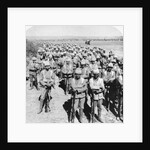 Soldiers Posing by Anonymous