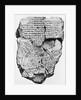 Babylonian Clay Tablet by Anonymous