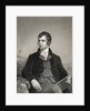 Portrait of Poet Robert Burns by Anonymous