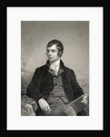 Portrait of Poet Robert Burns by Anonymous