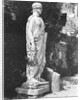 Sculpture of a Roman Senator by Anonymous