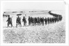 Troops Arriving in Mexico by Anonymous