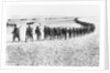 Troops Arriving in Mexico by Anonymous