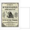 Kodak Film Package Advertisement by Anonymous
