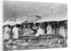 Women Sawing Logs in Dawson by Anonymous