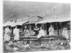 Women Sawing Logs in Dawson by Anonymous