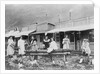 Women Sawing Logs in Dawson by Anonymous