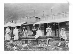 Women Sawing Logs in Dawson by Anonymous