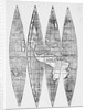 Map from 16th Century by Anonymous
