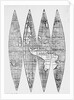 Map from 16th Century by Anonymous