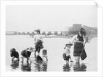 Children Crabbing on the Seashore by Anonymous
