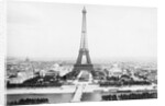 Panoramic View of Exhibition Grounds in Paris with Eiffel Tower by Anonymous