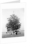 Christmas Tree with Presents and Toys by Anonymous